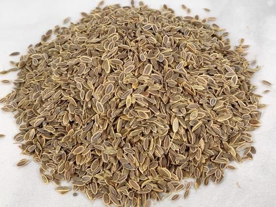 DILL SEED DILL SEED